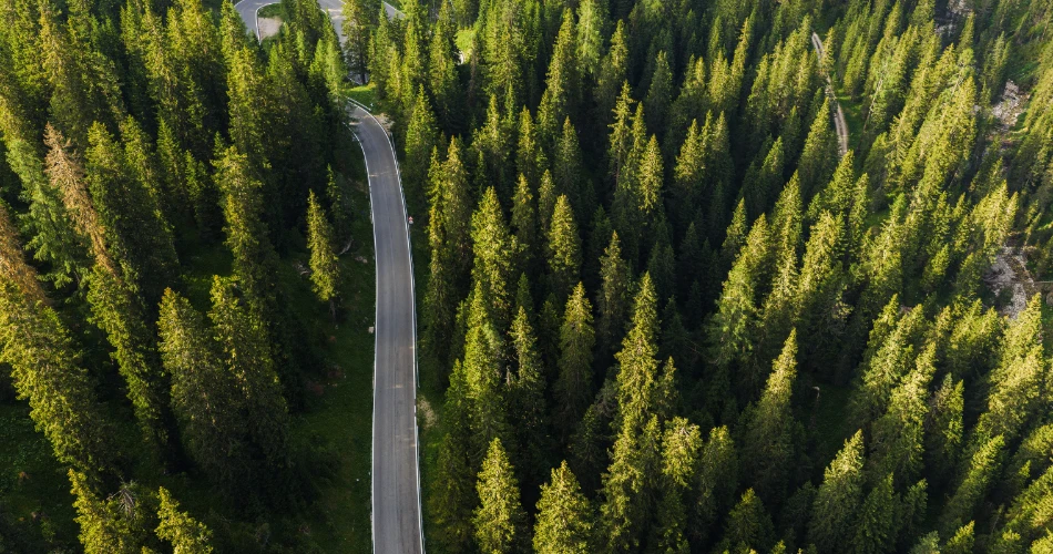 Best Places and Foods to Try in Big Pine, United States