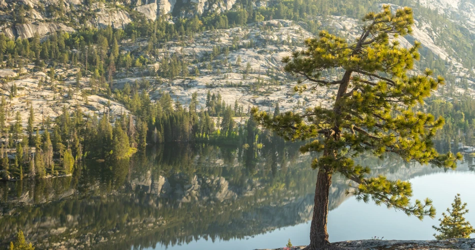 Best Things to Explore in Big Pine, United States: A Complete Travel Discovery Guide