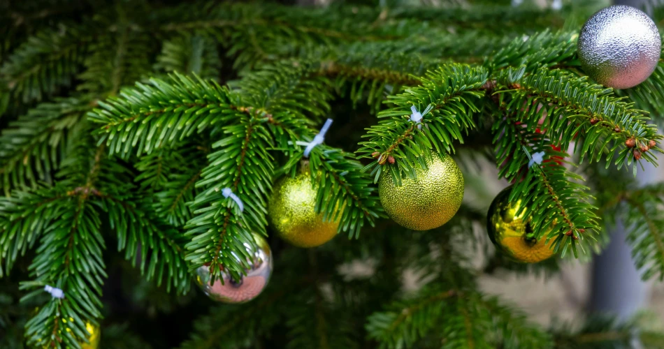 Top Events in Big Pine, United States: Festivals, Seasonal Activities & Local Happenings