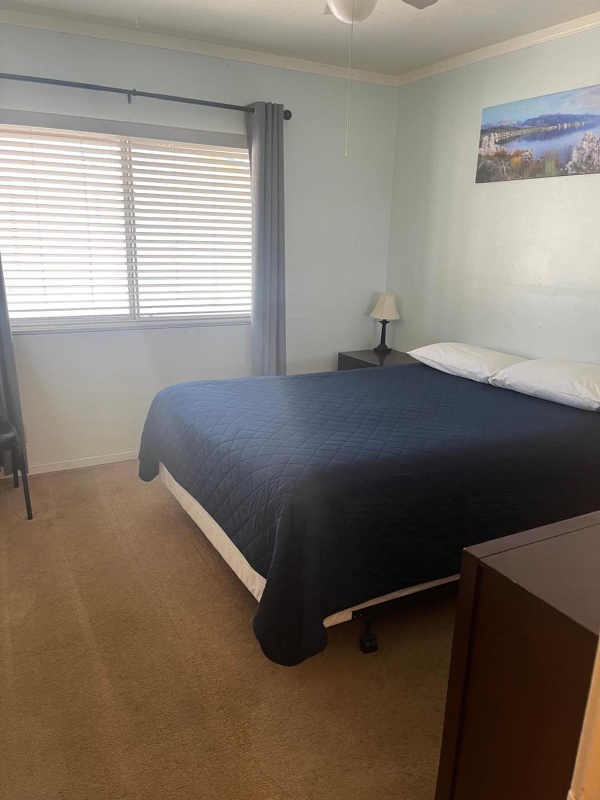 Bristlecone Motel image 4